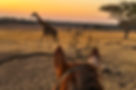 B087294F-A461-480B-ACFE-C315B8C6500C_edited.jpg