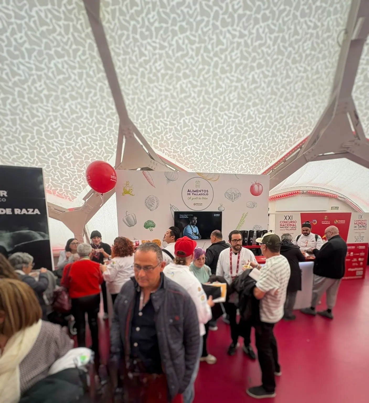 CONCUROS PINCHOS Y TAPAS