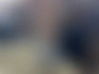 VACA DE BOS TAUROZOS