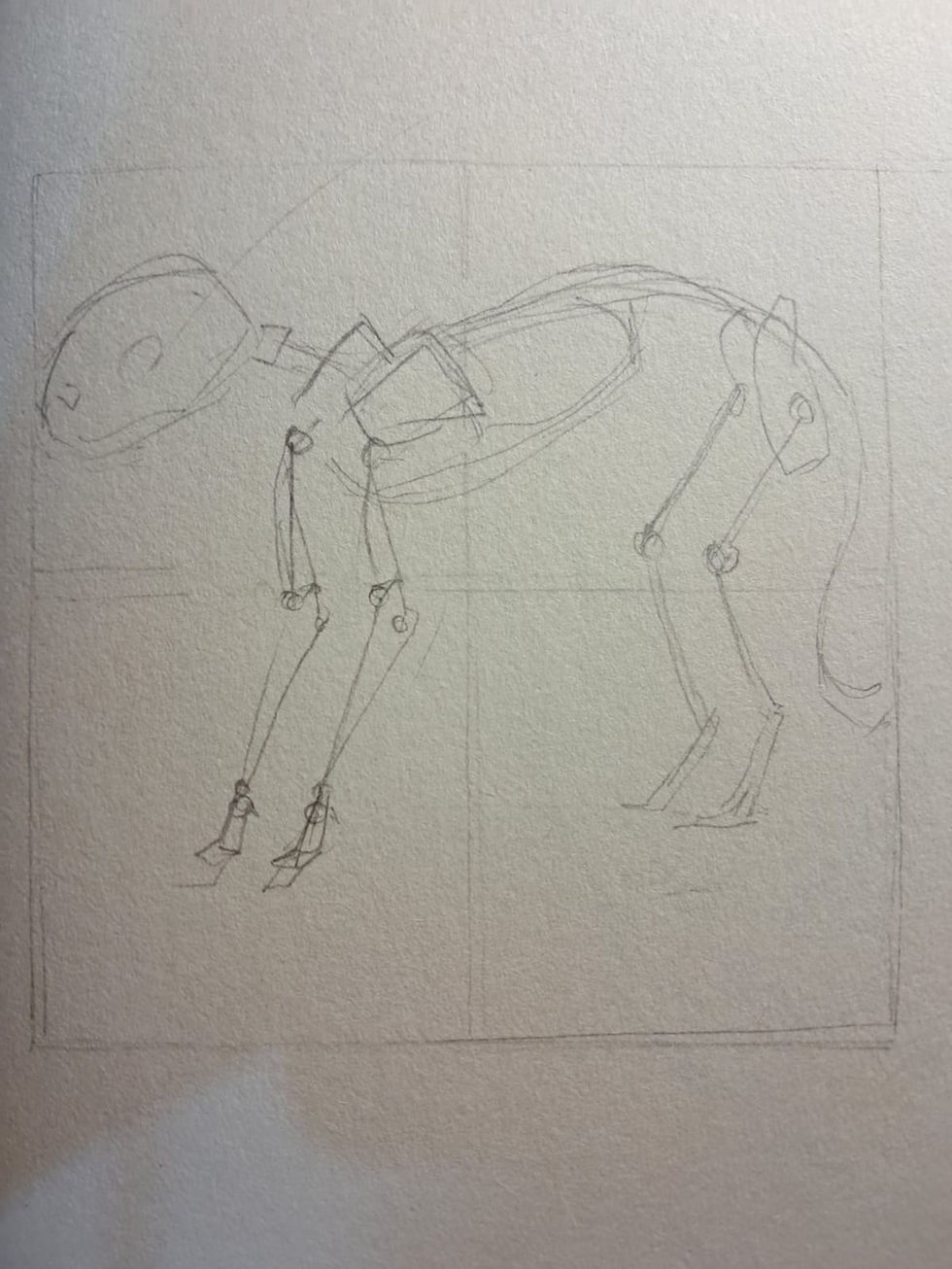 WhatsApp Image 2024-05-23 at 01.02.19 (1)