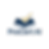 Procert AI website clear.png