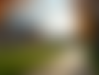 The Role of Mentors in Shaping Young Lives