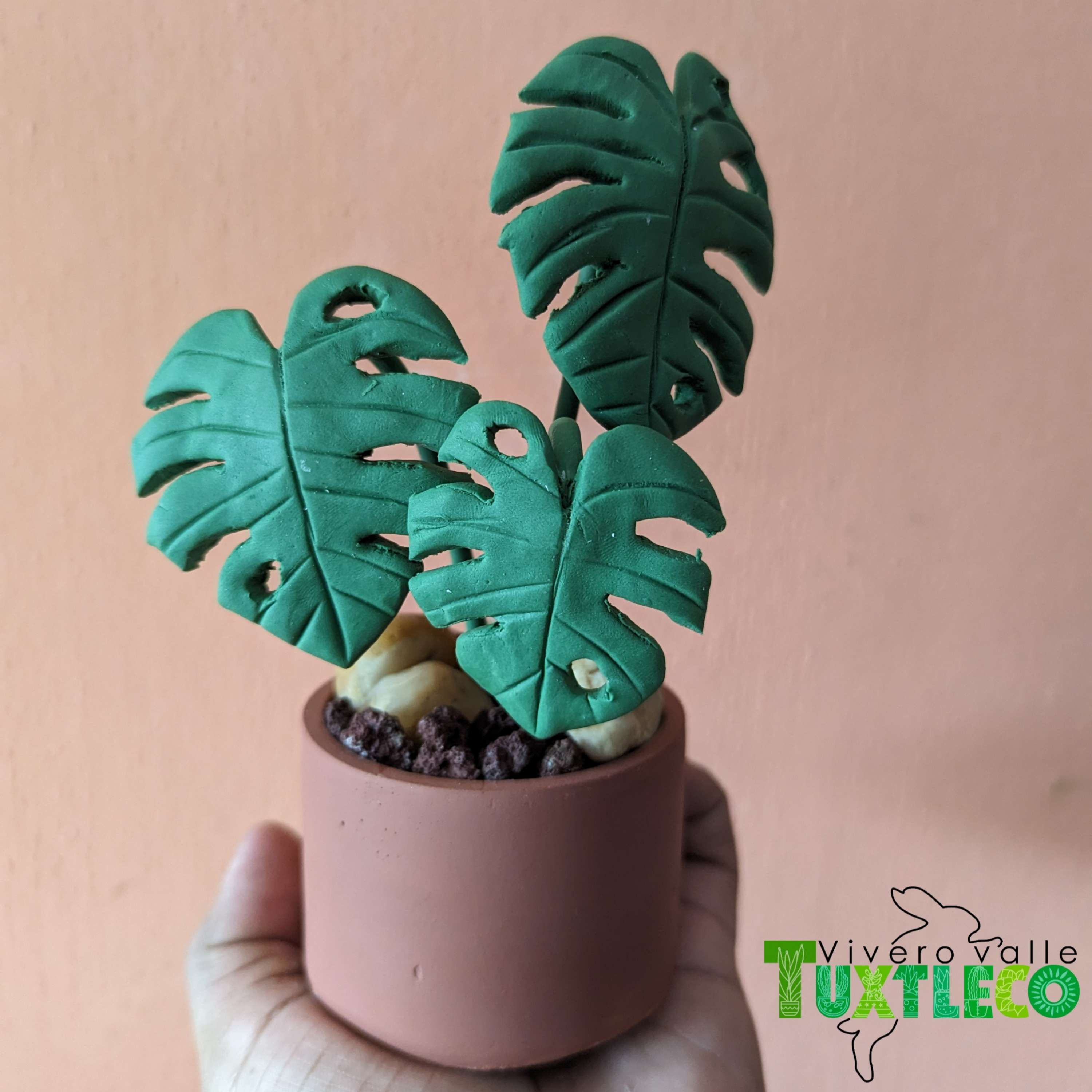 🏷️ Réplica de Monstera deliciosa
