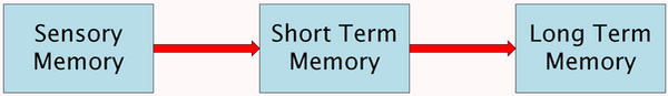 Multi Store Model of Memory2.png