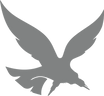 Edge Scalp Ink Hawk (grey).png