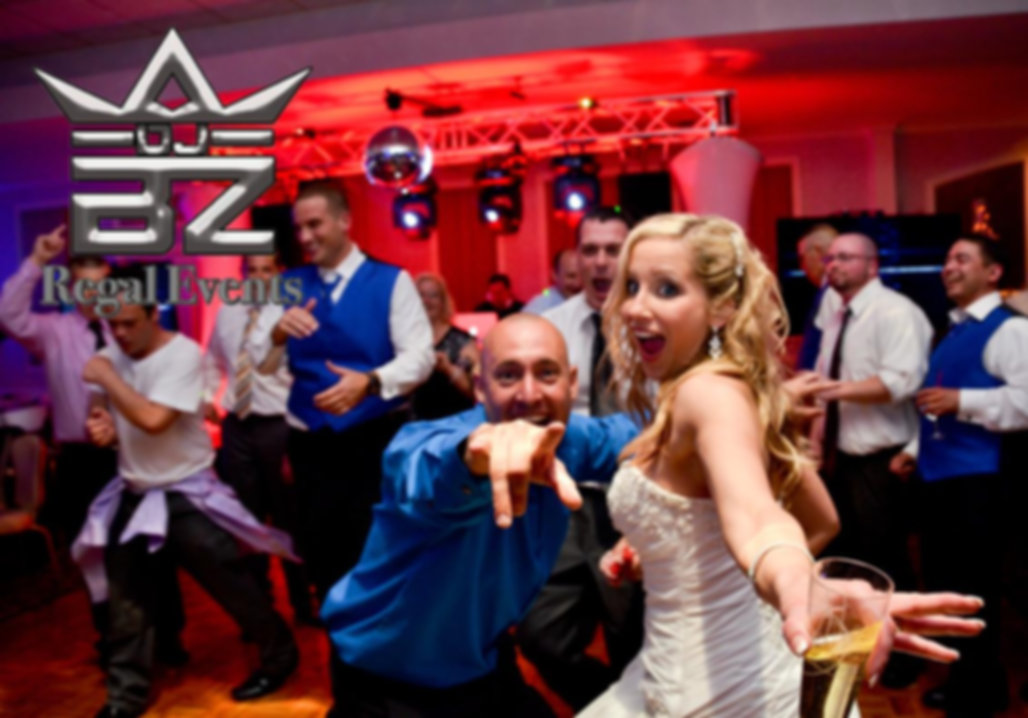 Wilmington Wedding DJ Reception