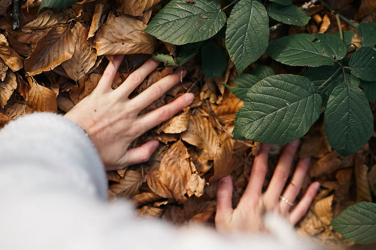 Soulissa Wo Körper und Seele sich begegnen.jpeg