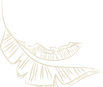 Bananenblaetter_beige.png