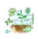 Figuur%2520website_edited_edited.jpg