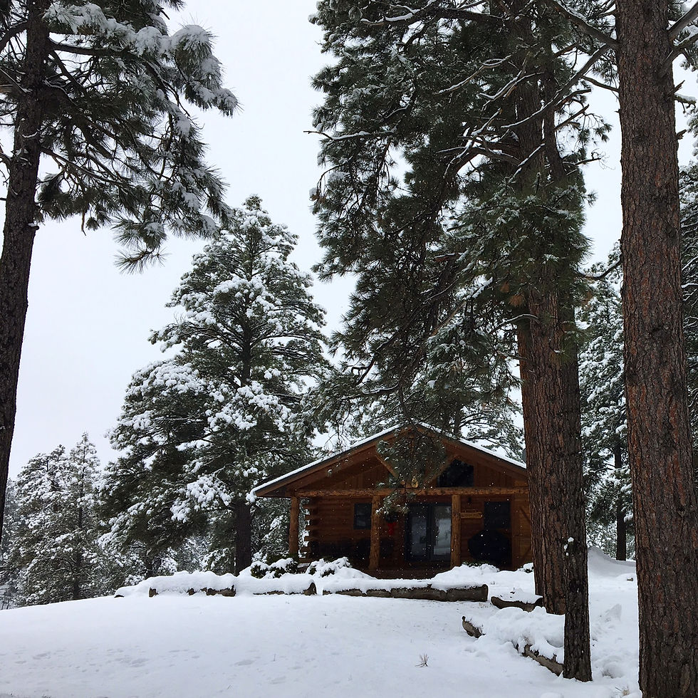 snowy cabin