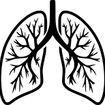 Lungs