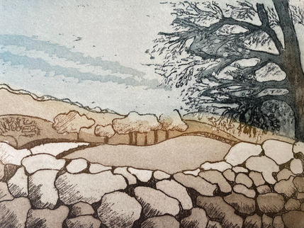 An autumn view looking across the top of a drystone wall towards fields with a leafless tree predominant on the right. 