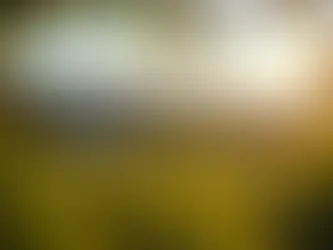 🍷 Why McLaren Vale Is a Fabulous Winter Destination – Wineries That Shine All Year Round