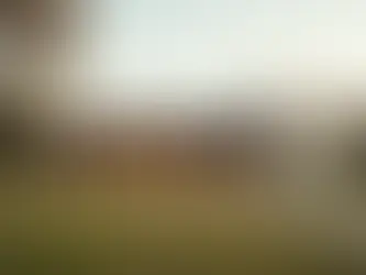 Must-See Highlights on Your McLaren Vale Wine Tour