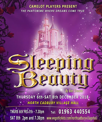 Sleeping Beauty Poster.jpg