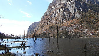 madhuri lake