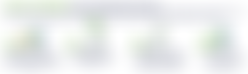 Safeguarding Treasury Payments: Introducing V2verify’s Advanced Authentication Solution