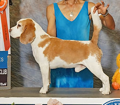 MPW's Babars No Deposit No Return