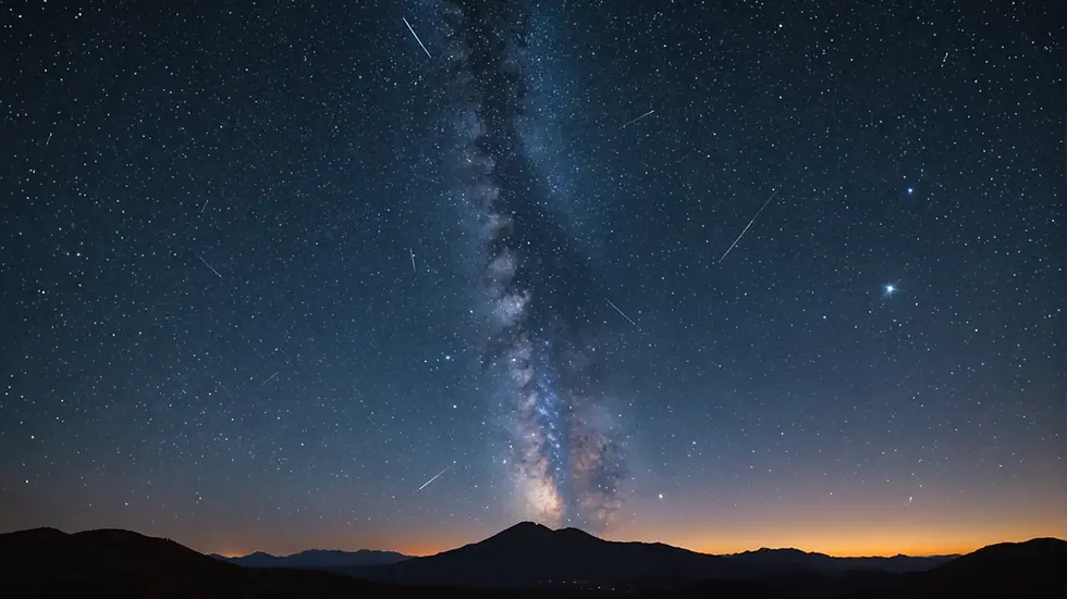 November Stars