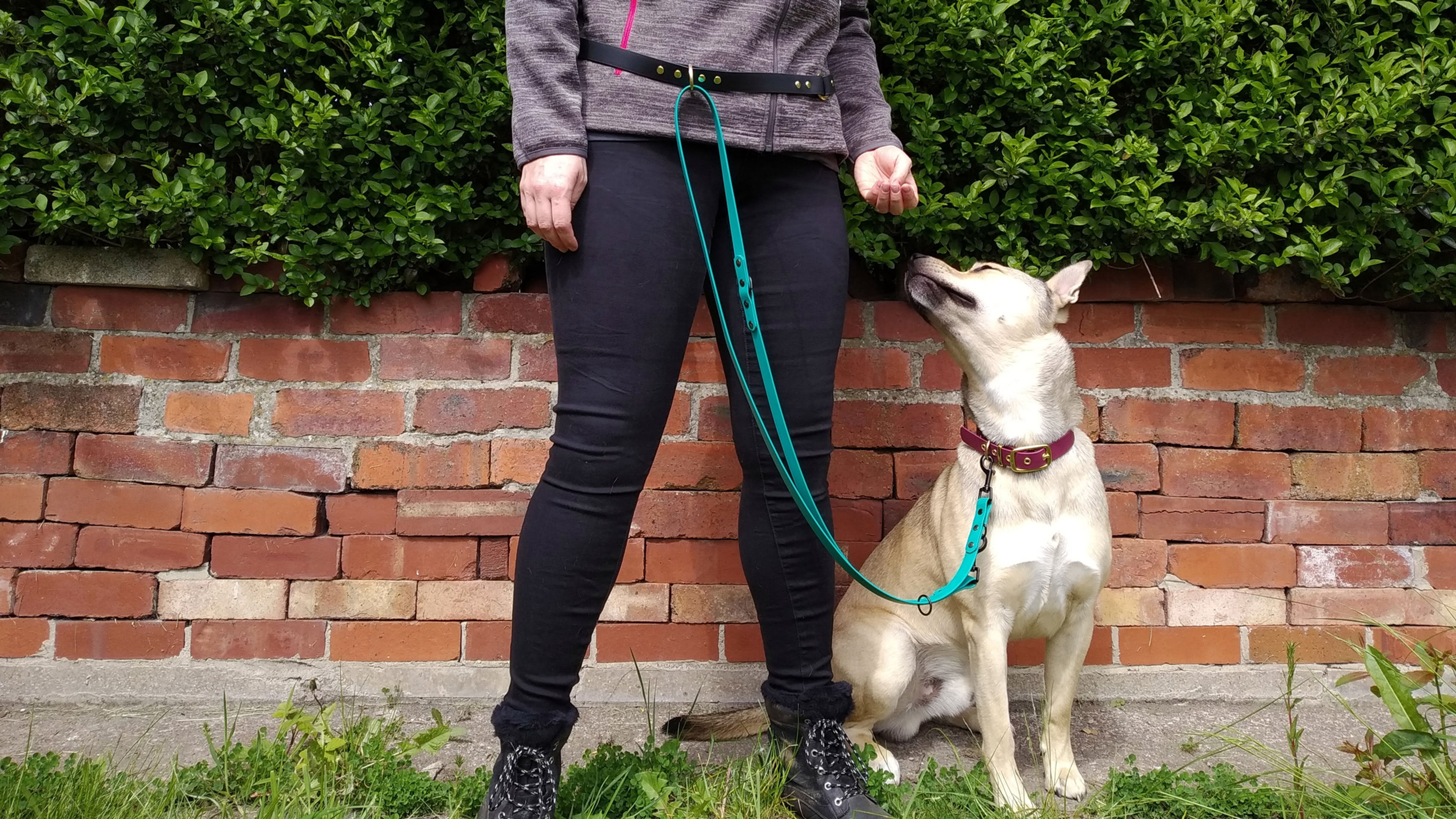 BioThane waterproof walking belt for hands free walking and adventures - custom size from JINKS