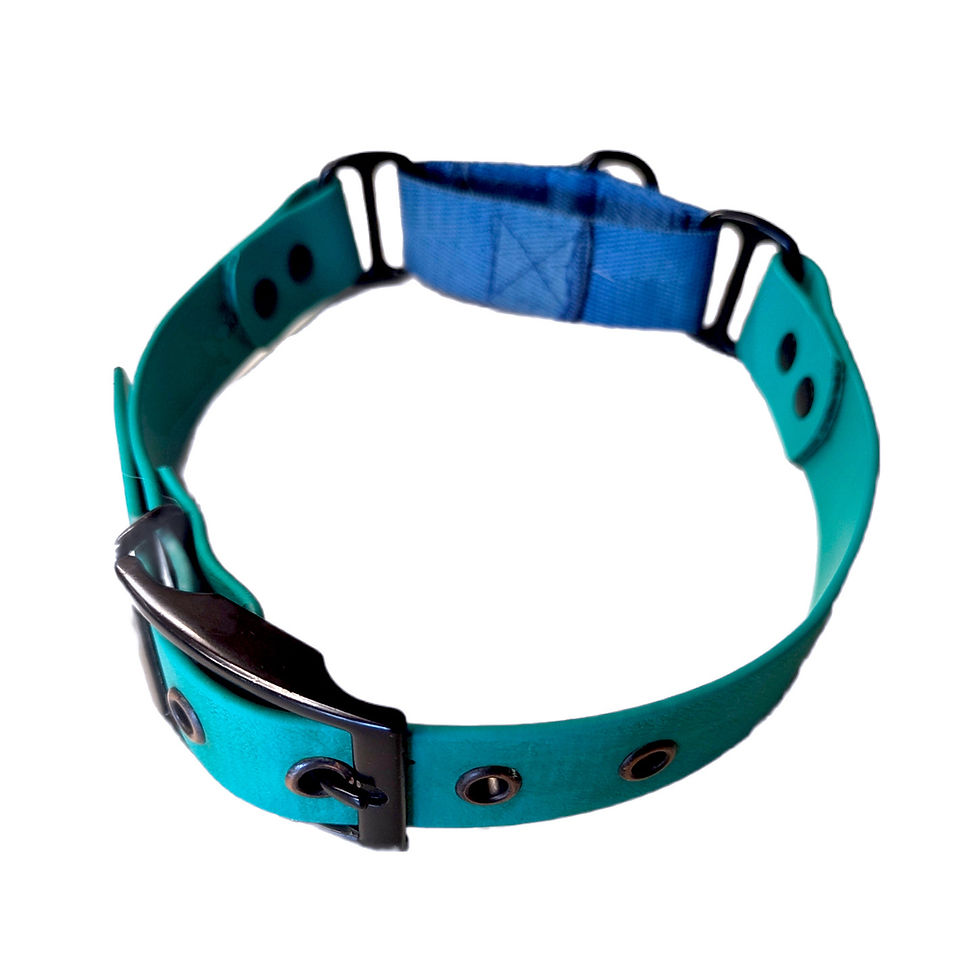 Thumbnail: RTP - BioThane martingale collars