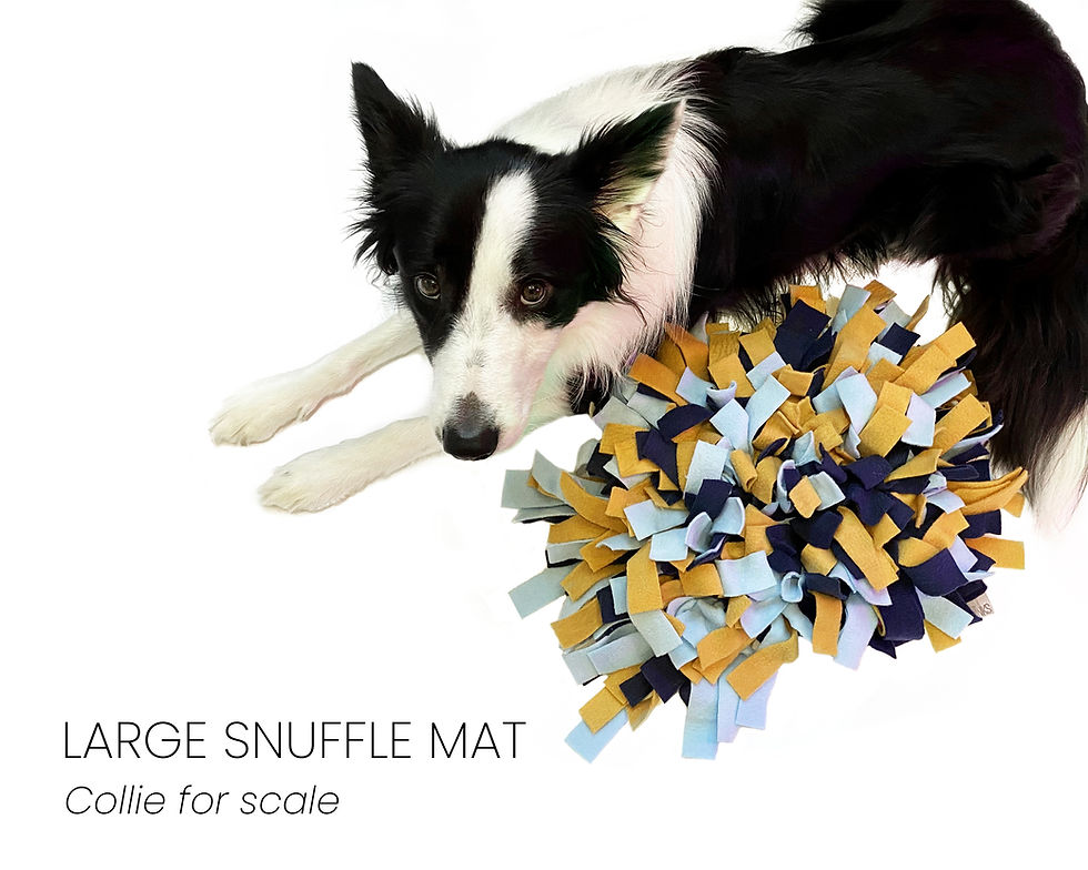 Thumbnail: RTP Snuffle Mats