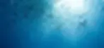 da06b8e50d69441f82862d8c00ae77b4.webp
