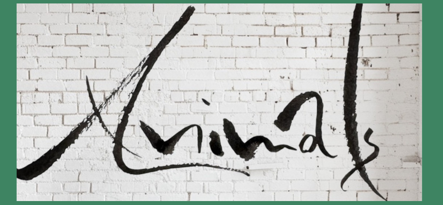 ACTUAL DESIGN - This is what we publish!.png