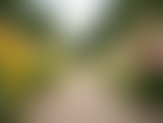 Empowering Breast Cancer Survivors: Finding Your Path