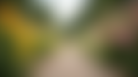 Empowering Breast Cancer Survivors: Finding Your Path