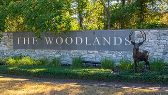 Remodeling Services in The Woodlands, TX