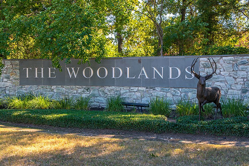 Remodeling Services in The Woodlands, TX