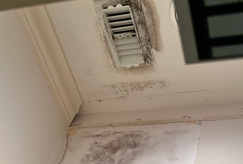 Mold remediation in a Houston home