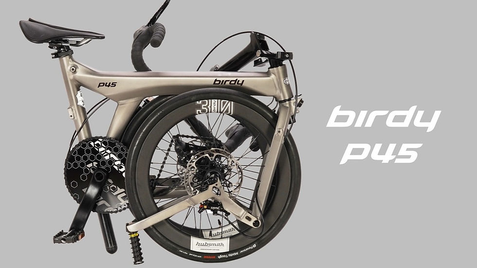 Birdy P45