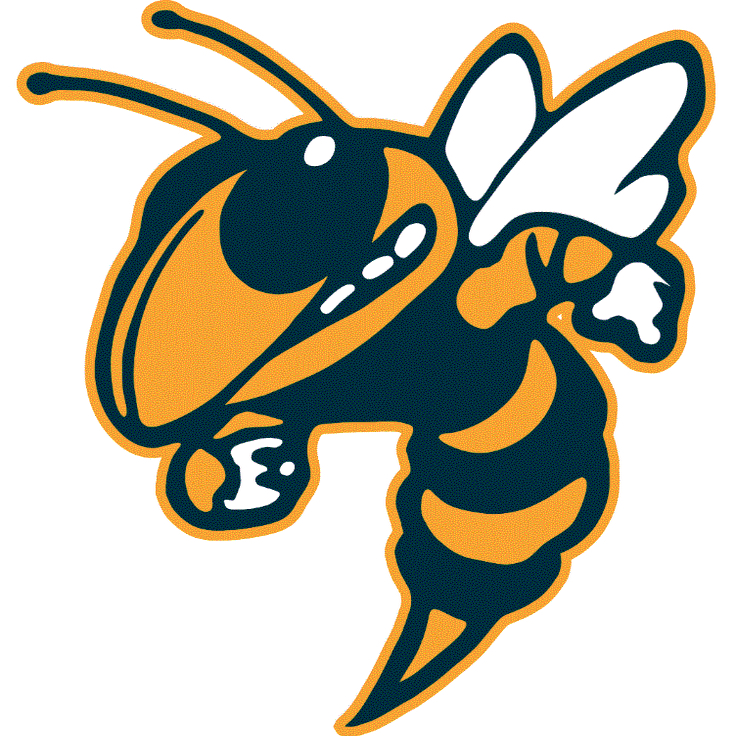 Lewis County High School Football