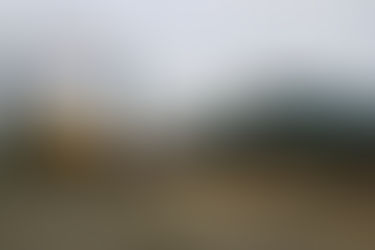 Petite échographie du monstre