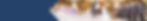 page-banner.jpg