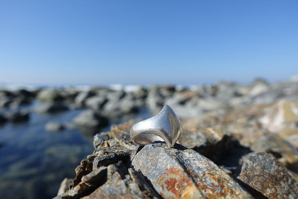 shield ring - size 8