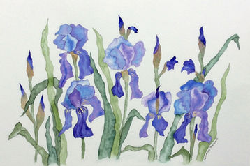 Aquarelle, 45/30, 2016 ?