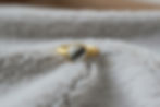 Tierhaarschmuck Fingerring Holli 9,4mm mit Fell
