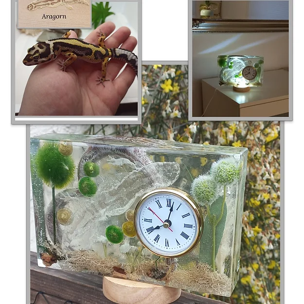 Tierhaarschmuck, Ascheschmuck, Pferdehaarschmuck, Erinnerungsschmuck, Geschenkeidee. Jedes Tierhaarschmuckstück wird von mir persönlich mit viel Herzblut und Liebe hergestellt, um ein würdiges Erinnerungsstück für Sie zu erschaffen. #tierhaarschmuck #tierliebe #schmuckmithaaren #pferdehaarschmuck #ascheschmuck