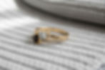 Tierhaarschmuck Fingerring Meise mit Fell & Asche