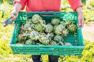 11. Entrepreneur pendant le Confinement: Marieke Bruijns @ La Ferme des Allouettes, Grosrouvre