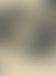 Python Packages untuk EDA Otomatis yang Harus Anda Gunakan