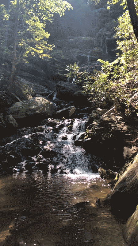 Cinemagraph