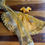 Thumbnail: Mustard Yellow Lehenga Dress.