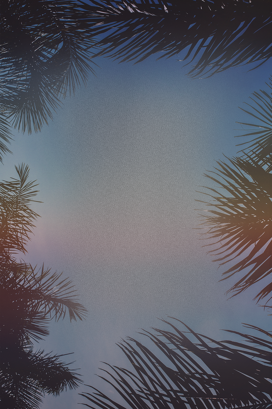 by-aaronn palms 90 (50Percent).png