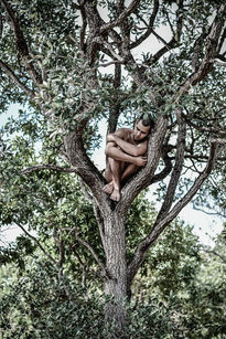 MACHO.cados 02