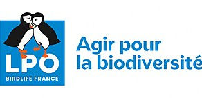 Incendies à Fontainebleau et faune sauvage