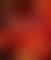 Joyeuses fêtes de fin d'année